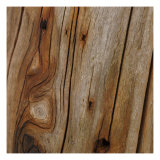 Nature's Textures IX