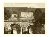Sepia Garden View VI