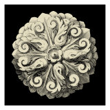 Black and Tan Rosette II