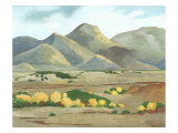Western Vista V