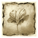 Floral Impression IX