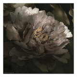 Moonlit Peony I