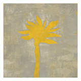 Coastal 4