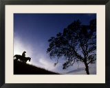 Silhouette of Cowboy  Picabo  Idaho