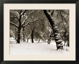 Queens Park Manchester in the Winter
