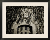 A Gate with a Face Made from Coral