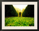 Walking through Garden Maze
