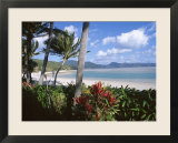 Resort Beach  Hayman Island  Whitsundays  Queensland  Australia