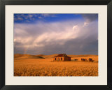 Abandoned Stone Farmhouse on the Barrier Highway Near Burra  Burra  South Australia  Australia