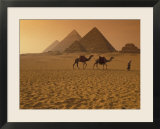 Giza Pyramids with Man Leading Two Camels Across the Desert in Egypt