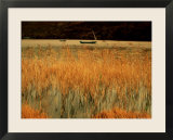 An Autumn Morning  Coniston Water  Lake District National Park  Cumbria  England