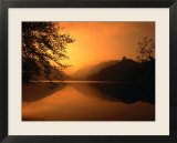 Sunset Reflecting on the Alpsee  Bavaria  Germany