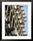Facade with False Gargoyles  Eglise Notre-Dame  Dijon  Burgundy  France