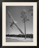 Pilot Sammy Mason Flying around a Tree During a Performance of His California Air Circus