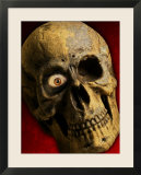 Human Skull with Wooden Eye