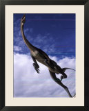 Royal Tyrrell Museum Paleontology  Struthiomimus Model Dinosaur