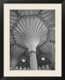 Fluted Columns of the Wells Cathedral