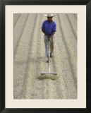 Worker Using Hoe Like Device to Turn Coffee Beans Drying in the Sun at La Retana Plantation