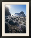 Ice Crystals and Ground Frost in Arches National Park  Utah
