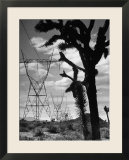 Power Line That Carries Current from Hoover Dam to Los Angeles  in Mojave Desert
