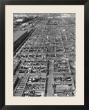 Beef Cattle Being Held in Large Pens at the Union Stockyards