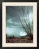 Pillar of Rain Descending From Thunderhead Onto Desert