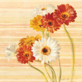 Dancing Gerberas