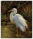 Tropical Egret II