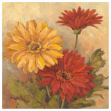 Gerber Daisies II