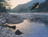 Edge of Tranquility