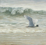 Au Fil de l'Eau IV
