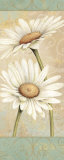 Beautiful Daisies II