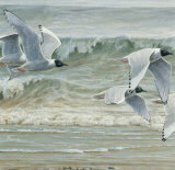 Au Fil de l'Eau III