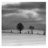 Winter Landscape I