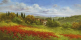 Tuscany Beauty I