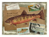 Brook Trout