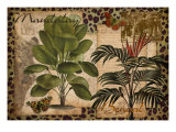 Exotic Safari
