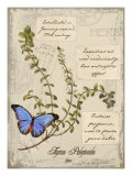 Thyme