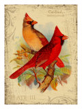 Cardinal