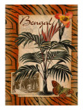 Bengal