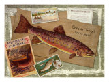 Brown Trout