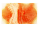 NIRVANAExploding Mandarin Orange