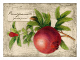 Pomegranate