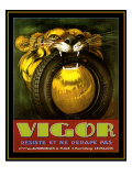 Vigor Tires