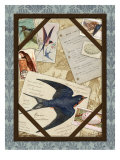 Barn Swallow