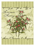 Summer Savory