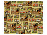 French Roosters