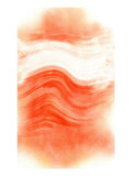 NIRVANAPollen of Orange