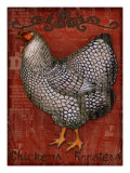 Chickens & Roosters