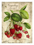 Raspberry